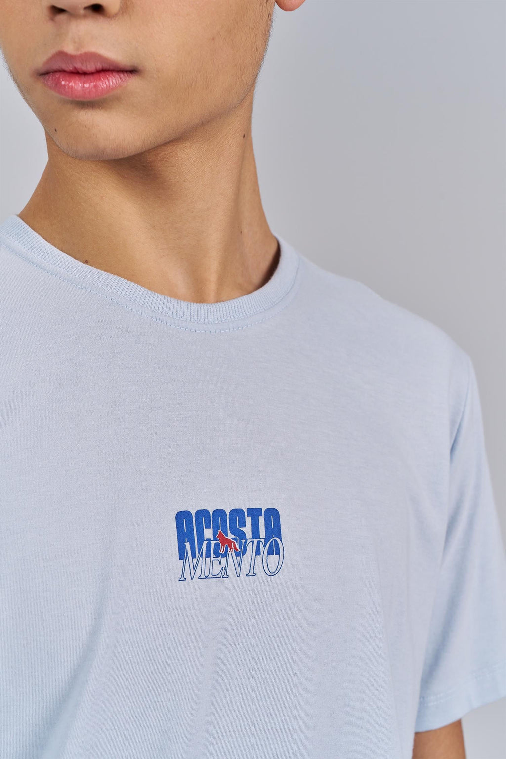 Camiseta Wild Wolf Menino Acostamento Next Azul Maresia