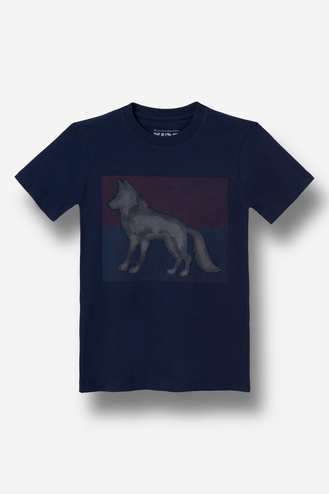 Camiseta Lobo Casual Menino Acostamento Next Marinho