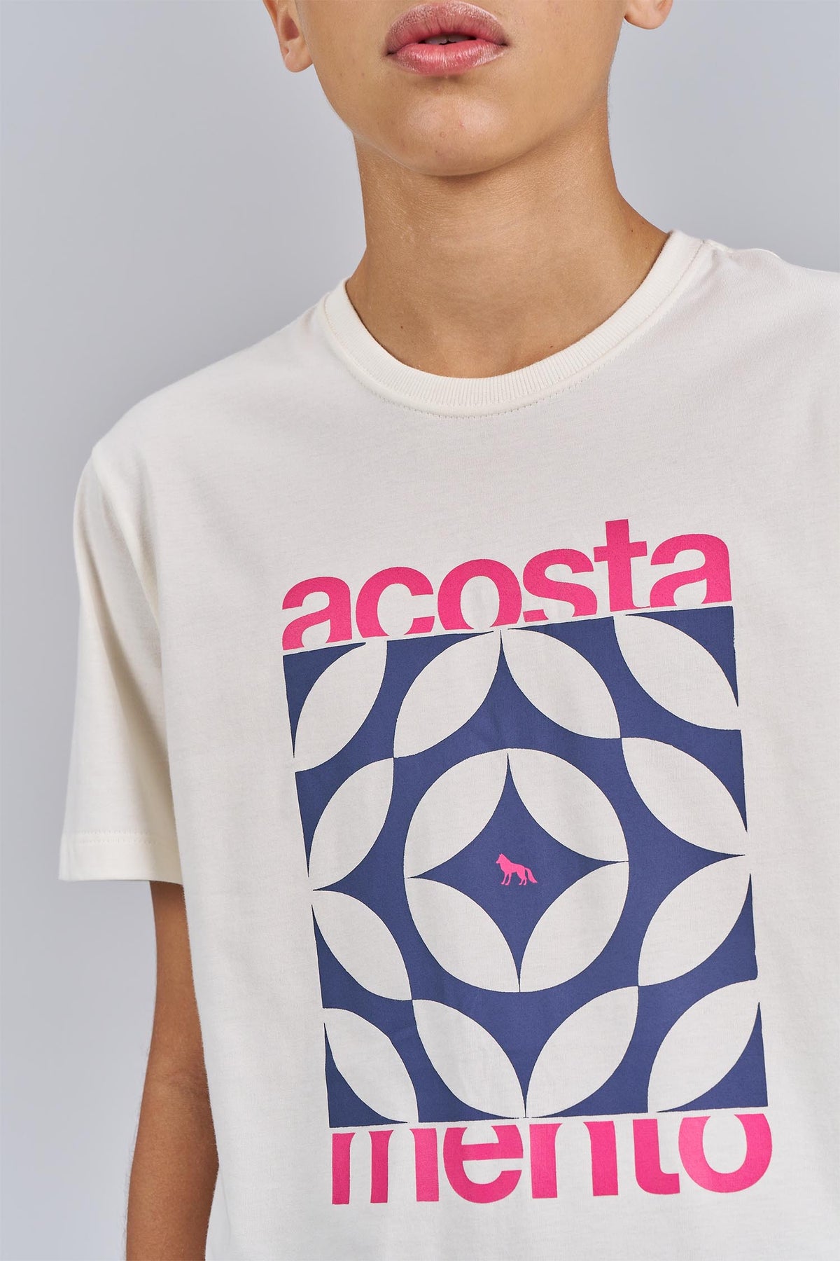Camiseta Shapes Menino Acostamento Next Branco