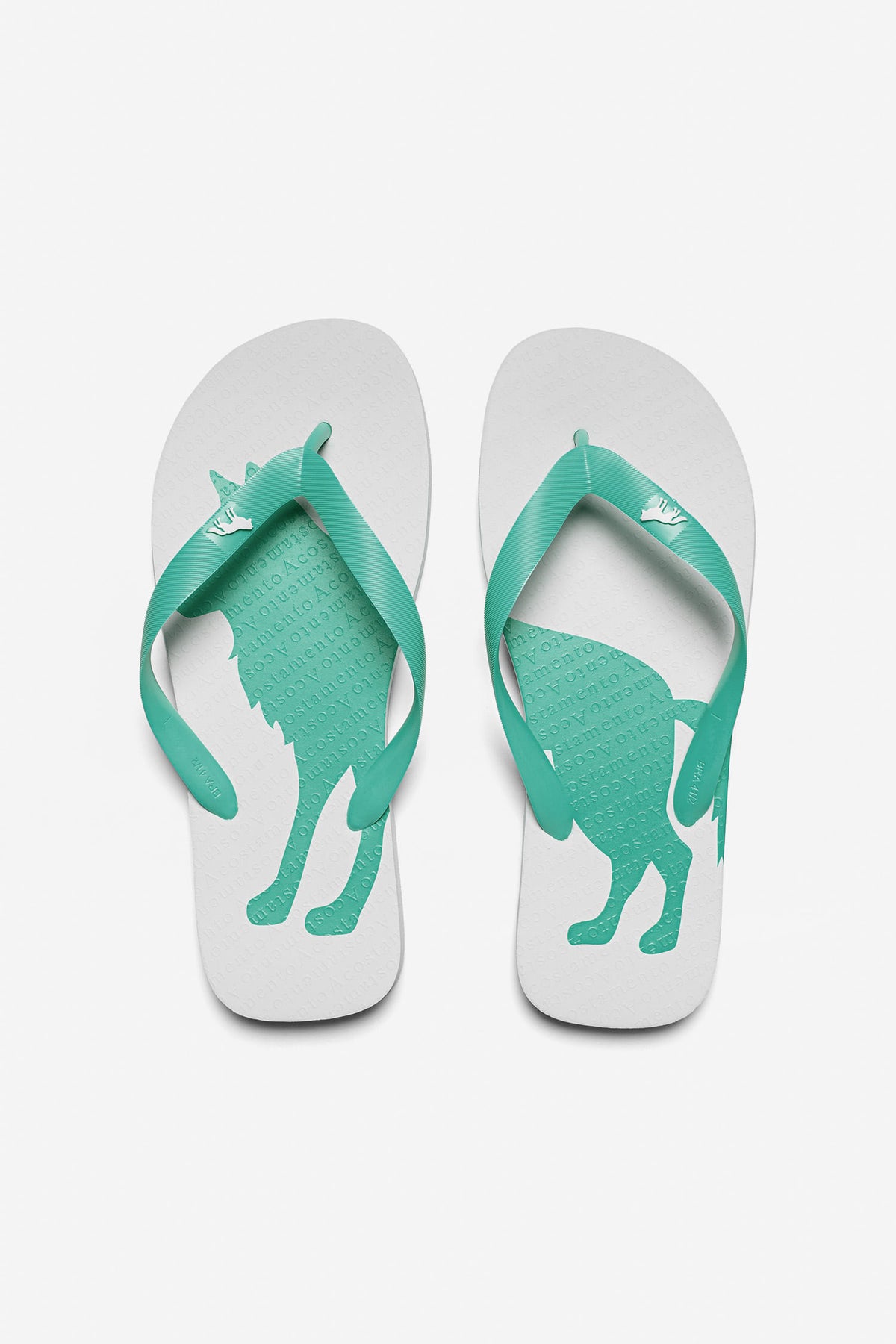 Chinelo O Lobo Masculino Acostamento Verde Mar