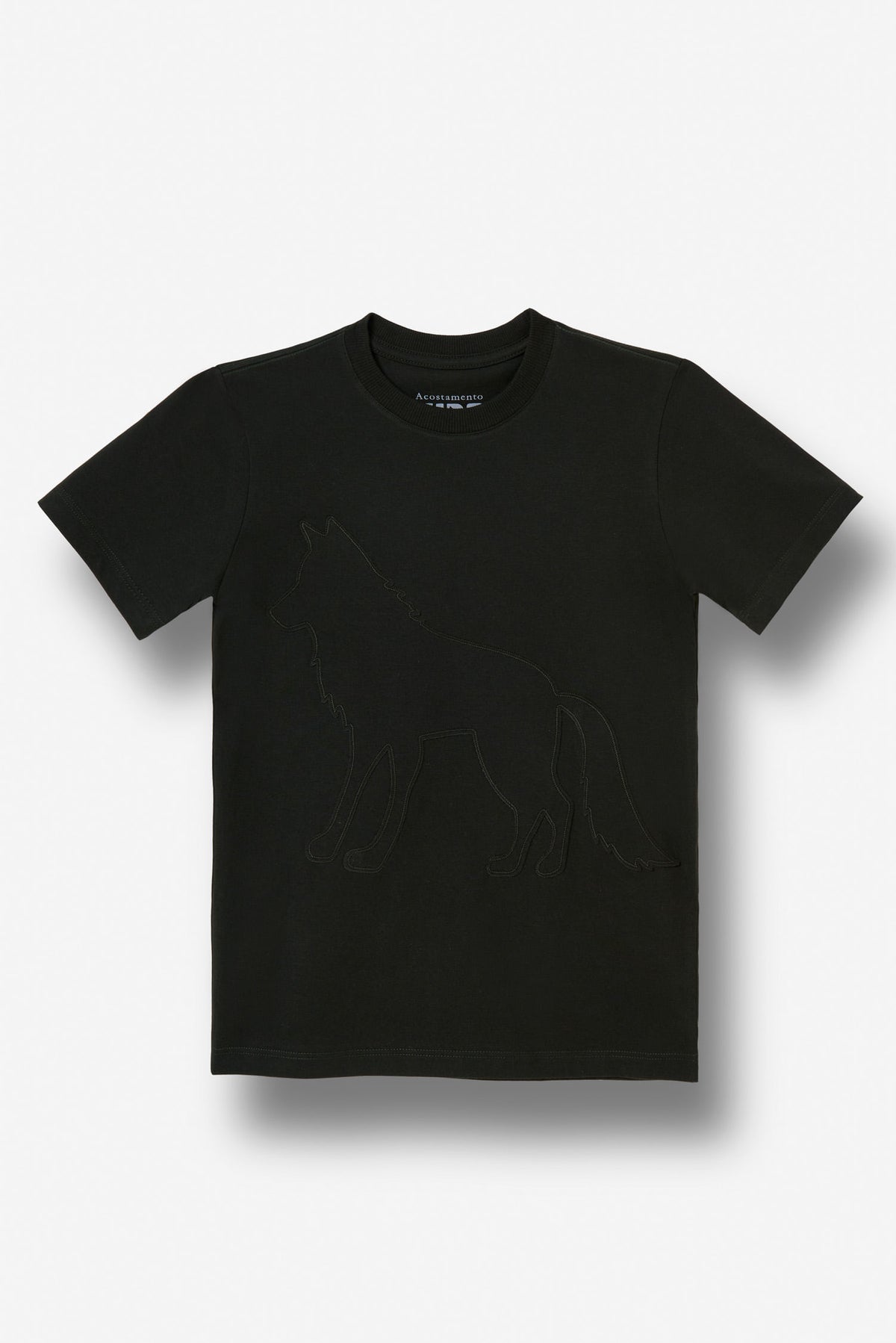 Camiseta Manga Curta Menino Acostamento Next Verde Folhagem