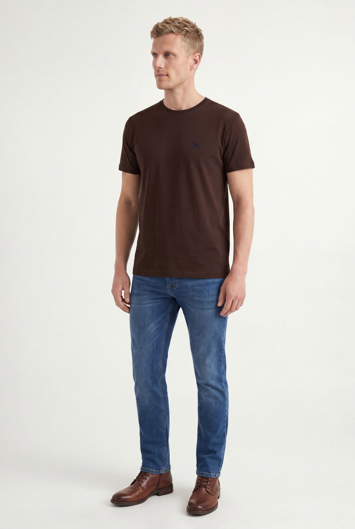 Camiseta Logo Bordada Masculina Acostamento Marrom Ipe