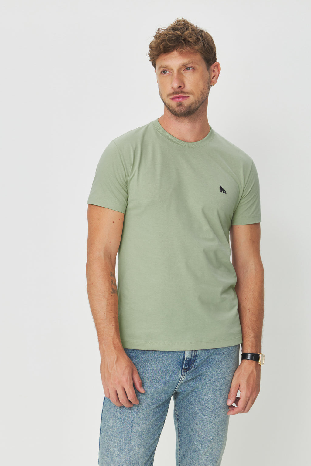 Camiseta Logo Bordada Masculina Acostamento Verde Cidreira