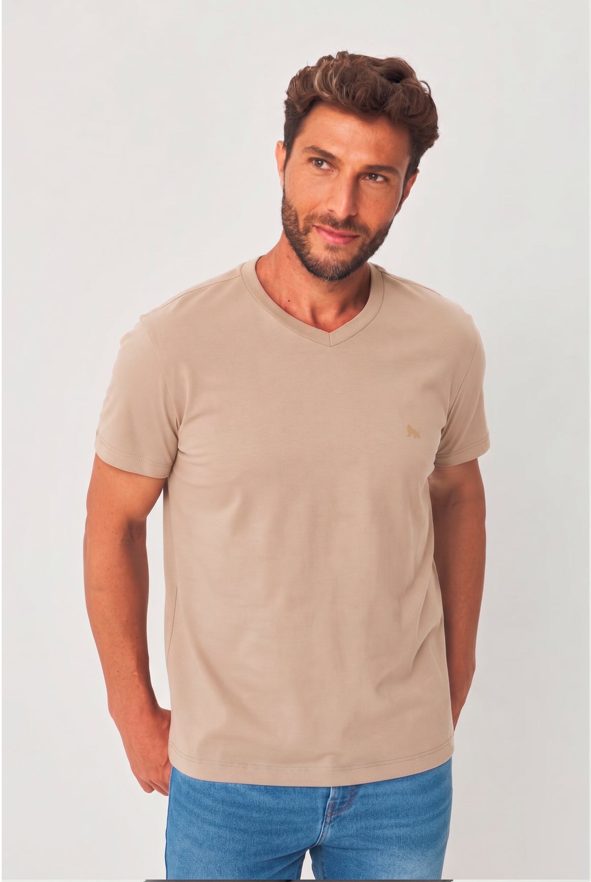 Camiseta Casual Gola V Masculina Acostamento Capuccino