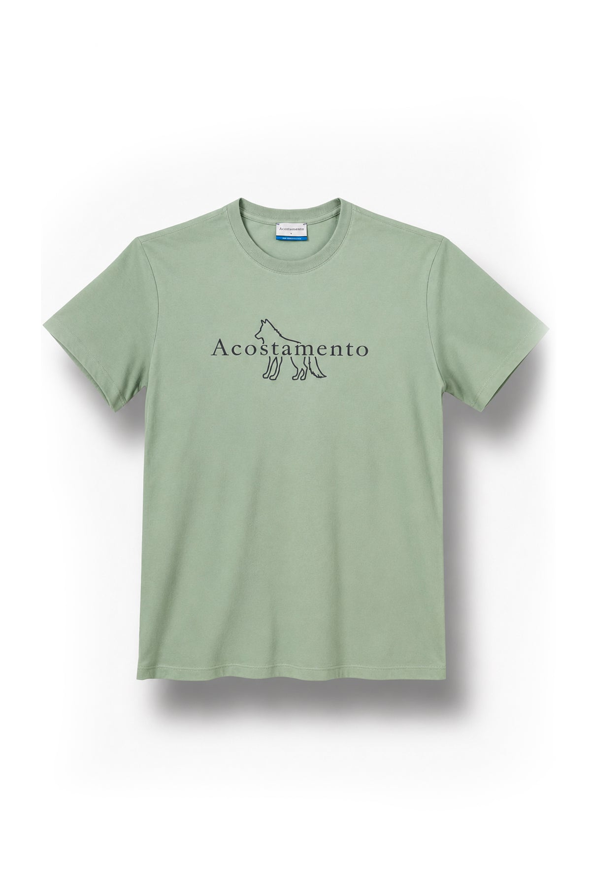Camiseta Estampa Lobo Central Masculino Acostamento Verde Cidreira