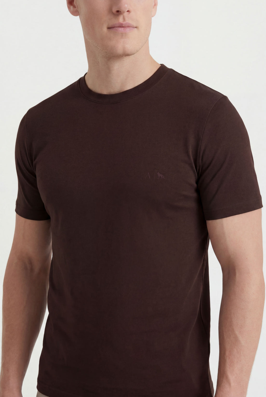 Camiseta Minimalista Masculina Acostamento Marrom Ipe