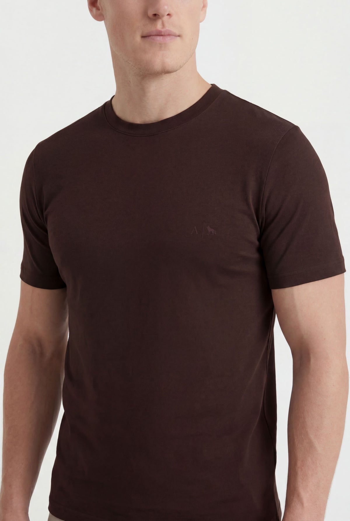 Camiseta Minimalista Masculina Acostamento Marrom Ipe