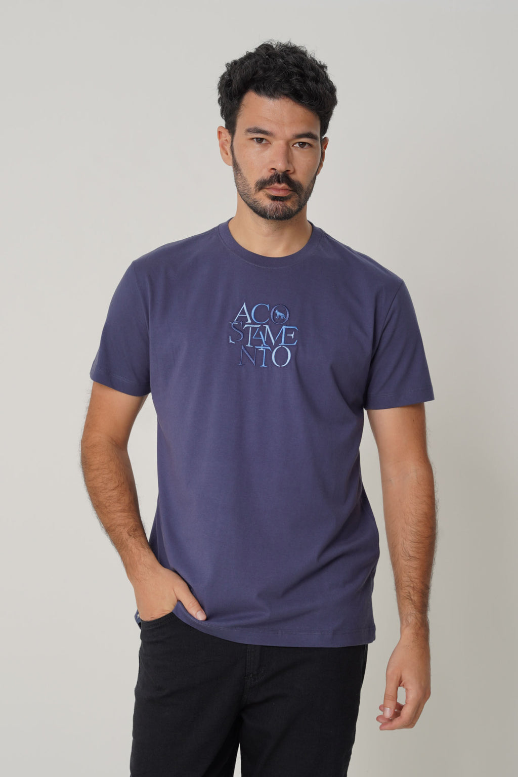 Camiseta Casual Logo Masculina Acostamento Azul Navy
