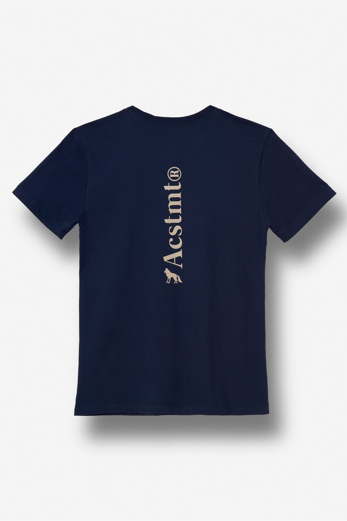 Camiseta Casual Menino Acostamento Next Marinho