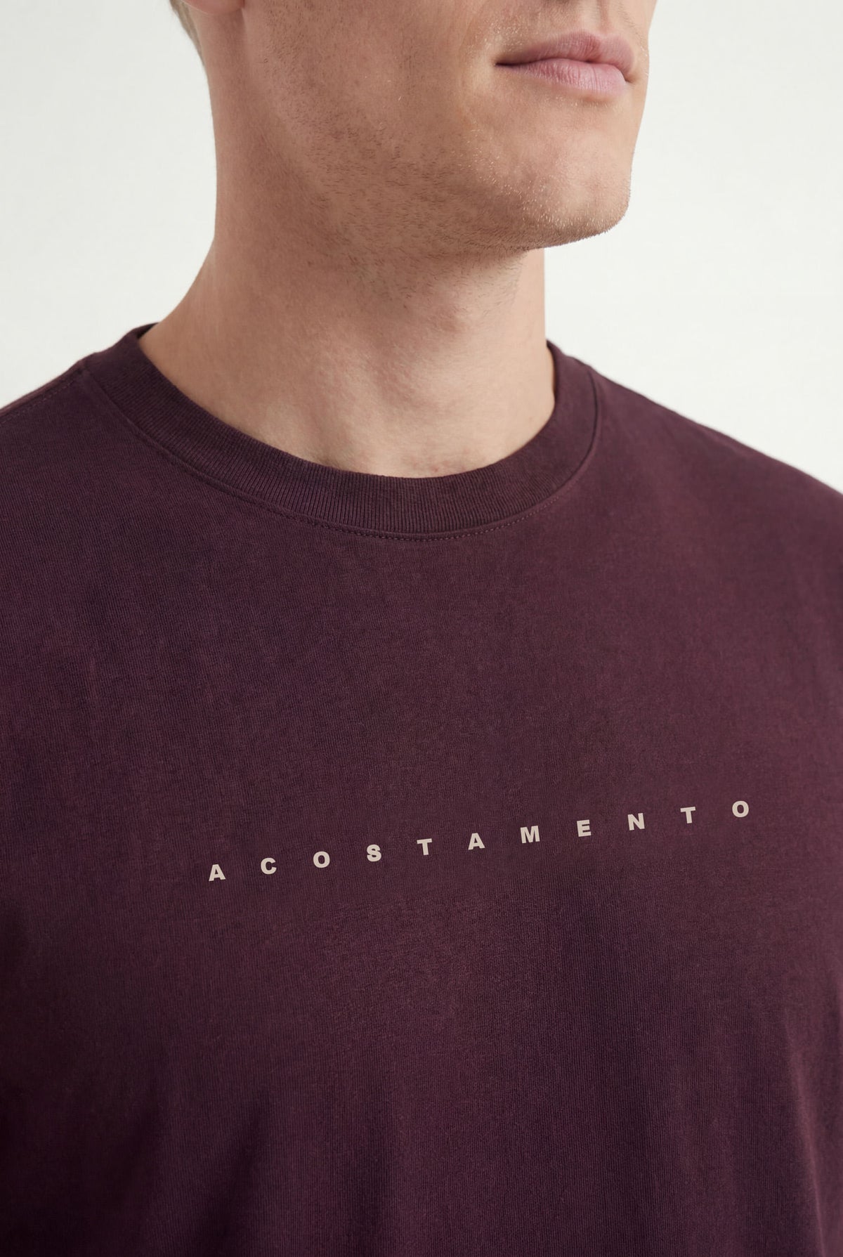 Camiseta Minimalista Masculina Acostamento Vinho Syrah