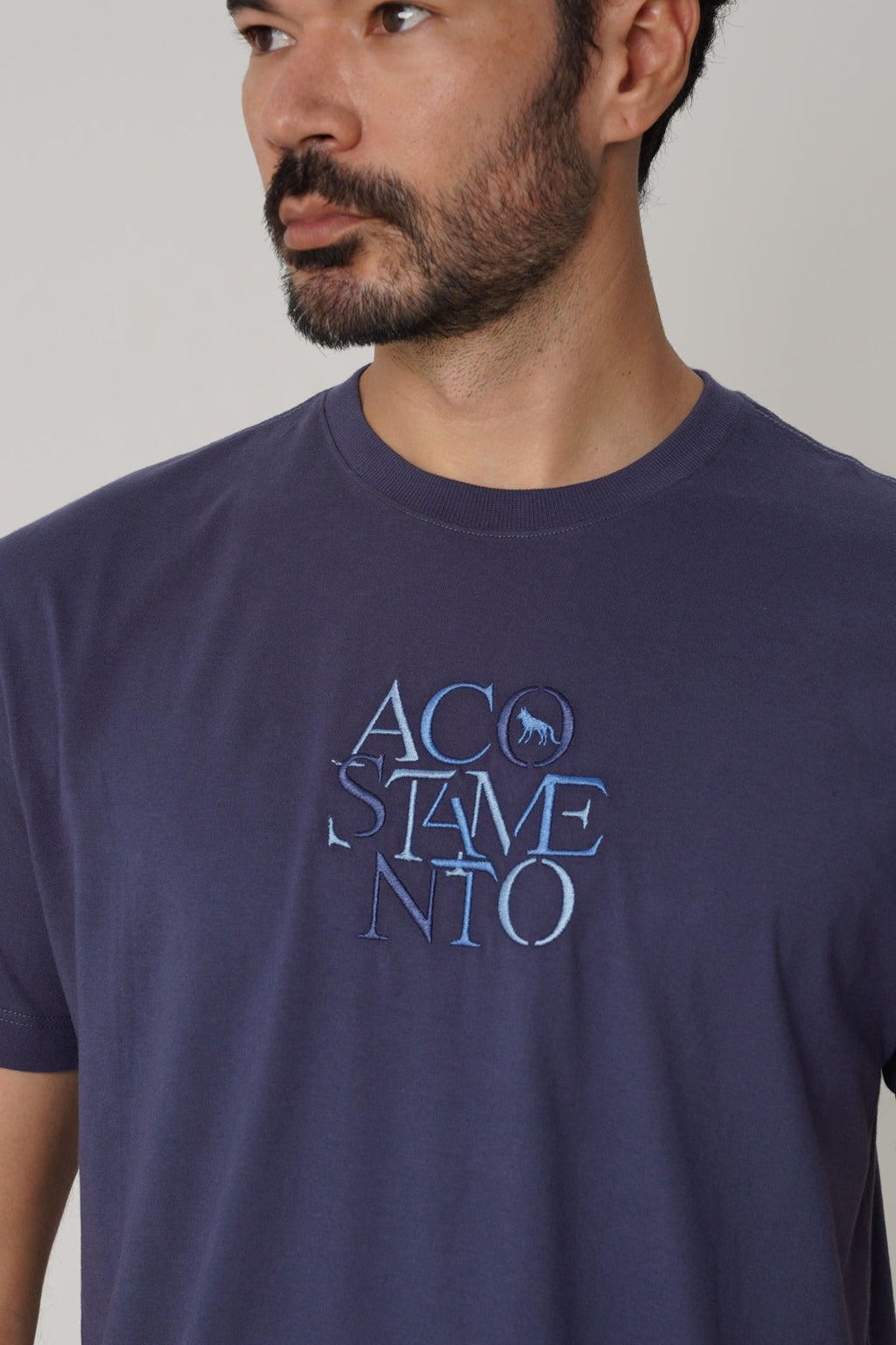 Camiseta Casual Logo Masculina Acostamento Azul Navy