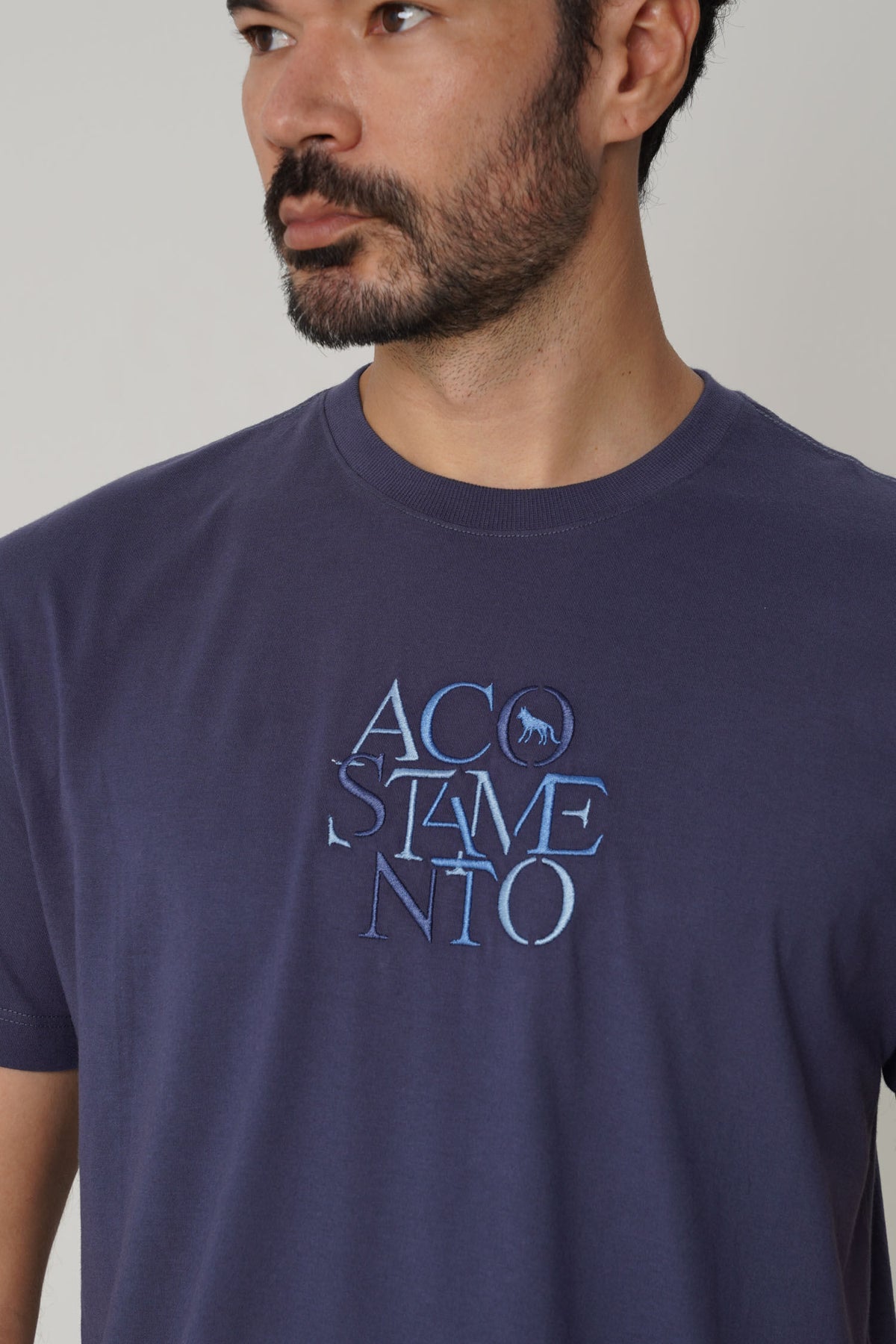 Camiseta Casual Logo Masculina Acostamento Azul Navy
