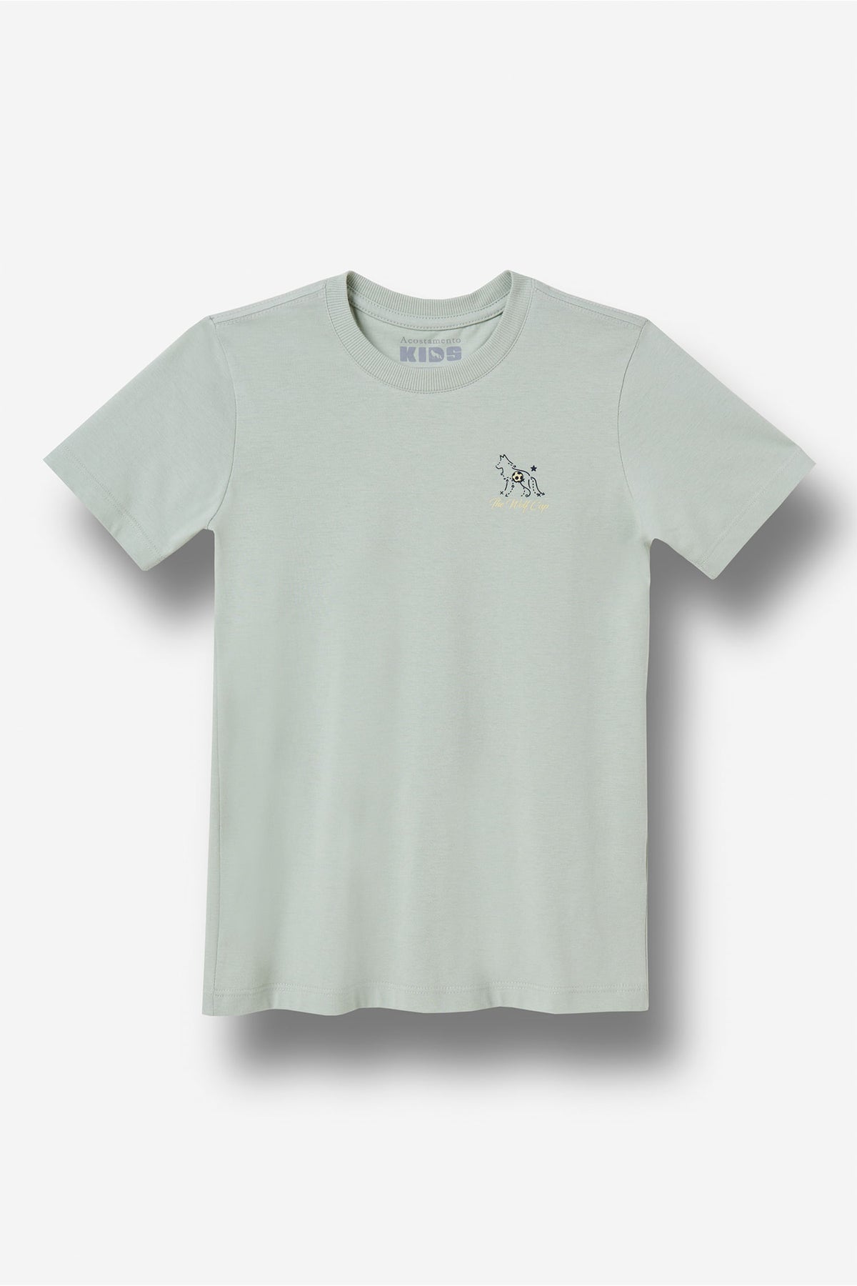 Camiseta Copa Logo Minimal Menino Acostamento Next Verde Cidreira