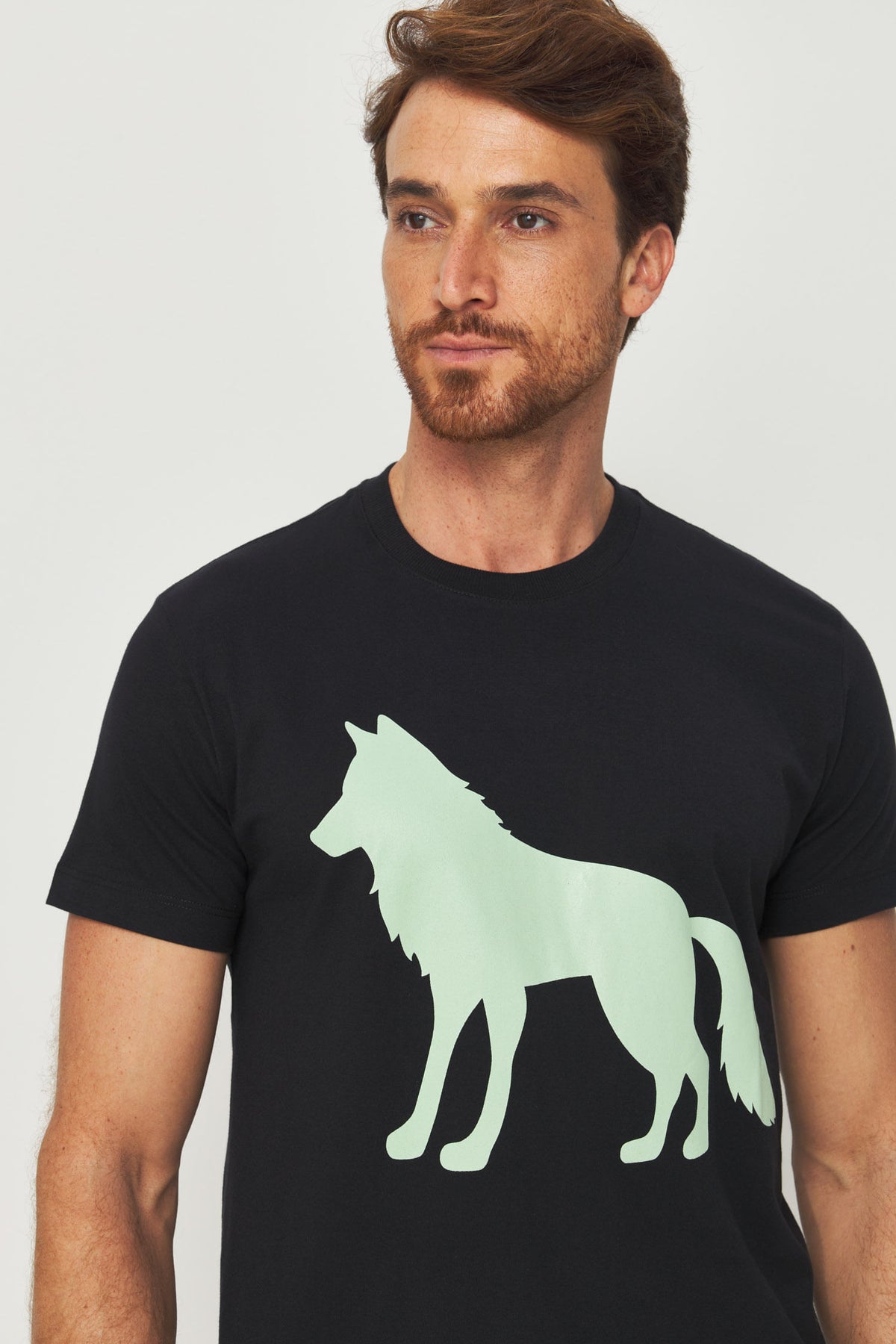 Camiseta Estampa Lobo Frontal Masculino Acostamento Preto C/ Estp Verde Cidreira