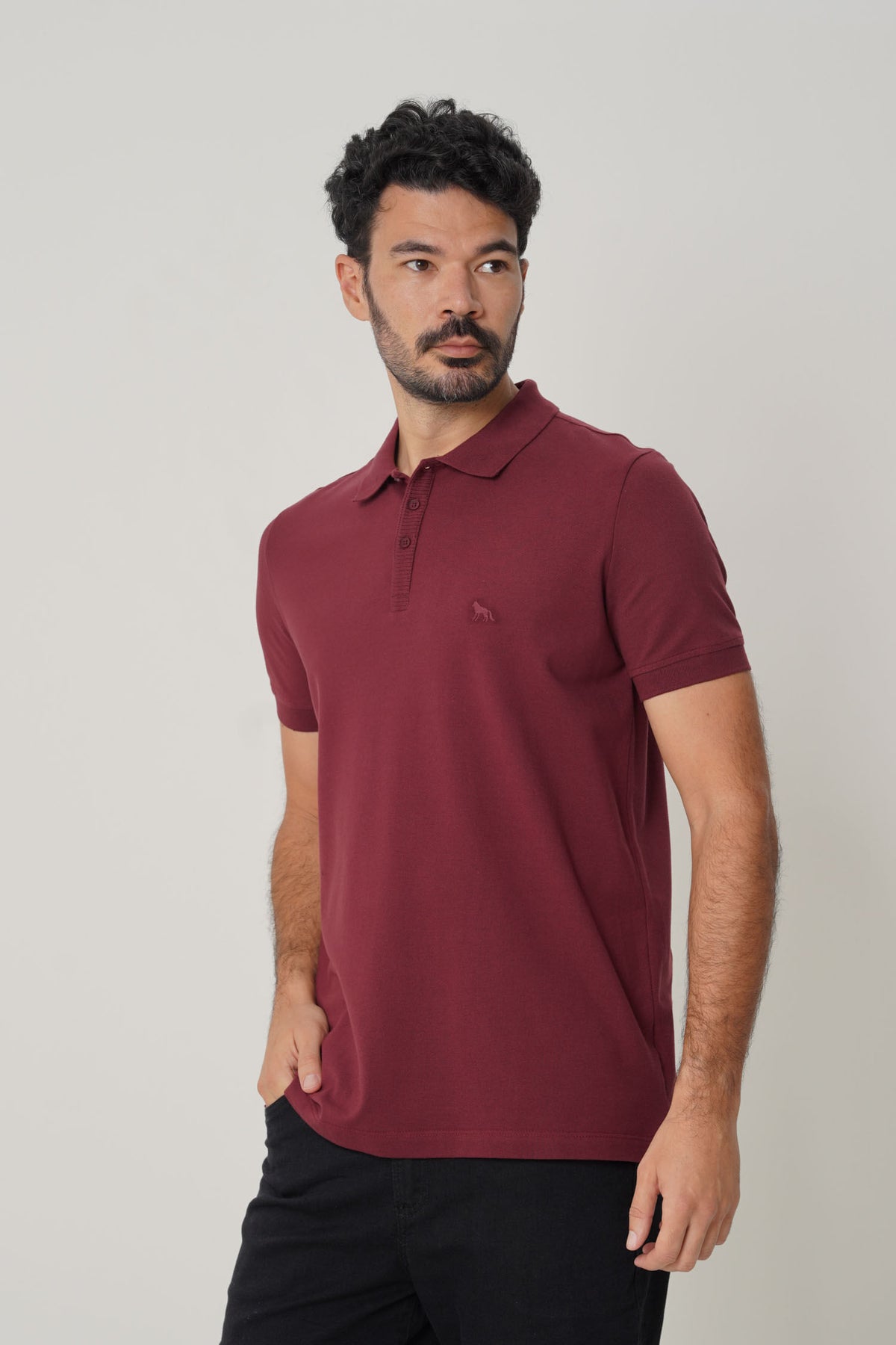 Polo Bordada Icon Masculina Acostamento Barca