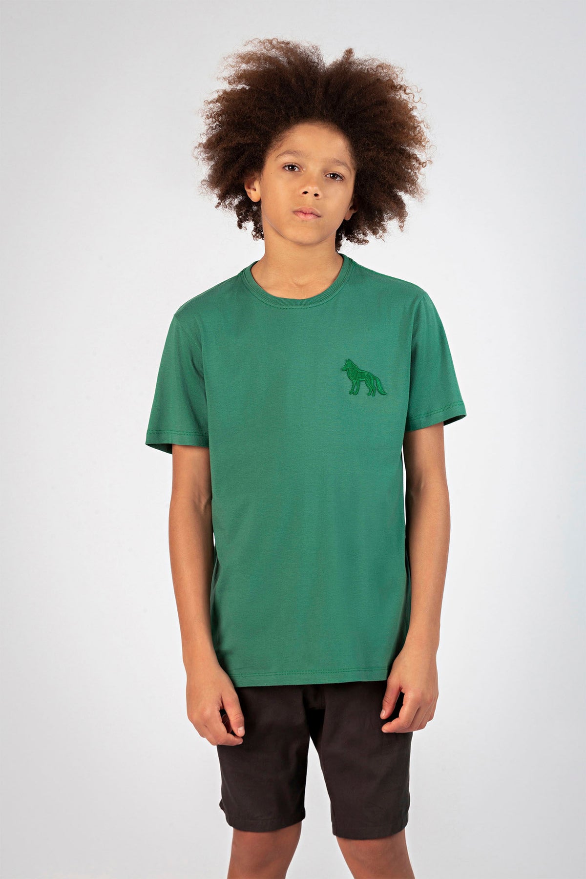Camiseta Wolf Bordado Young Menino Acostamento Marinho
