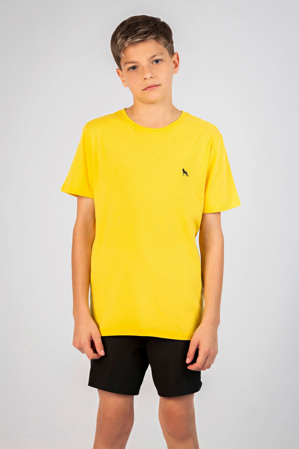 Camiseta Little Alpha Young Menino Acostamento Amarelo