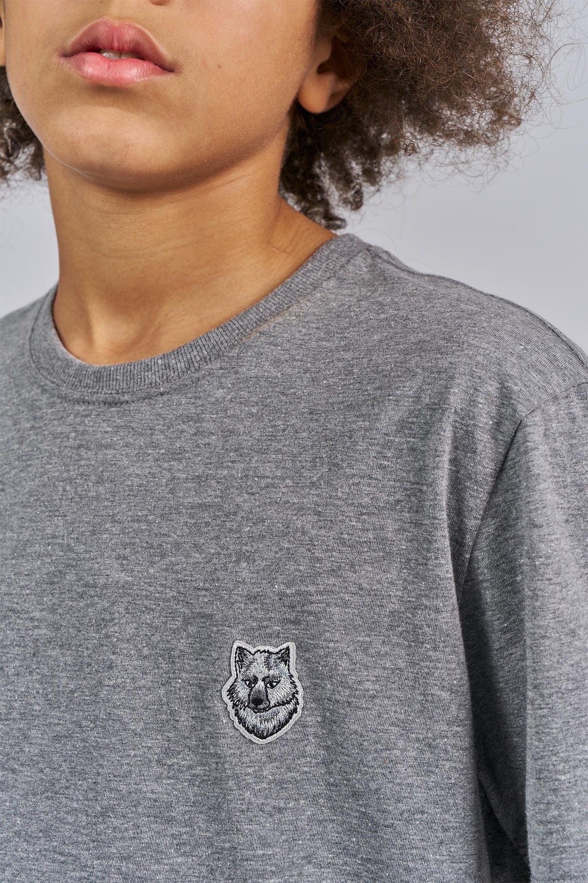 Camiseta Little Wolf Detail Menino Acostamento Next Mescla Grafite