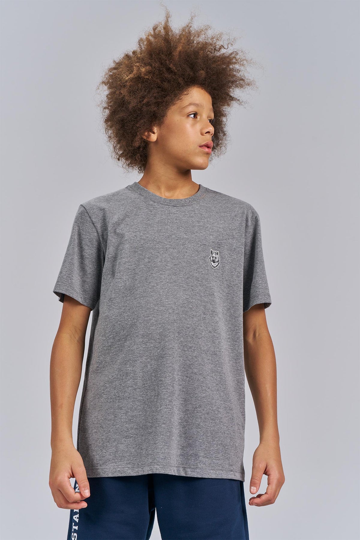 Camiseta Little Wolf Detail Menino Acostamento Next Mescla Grafite