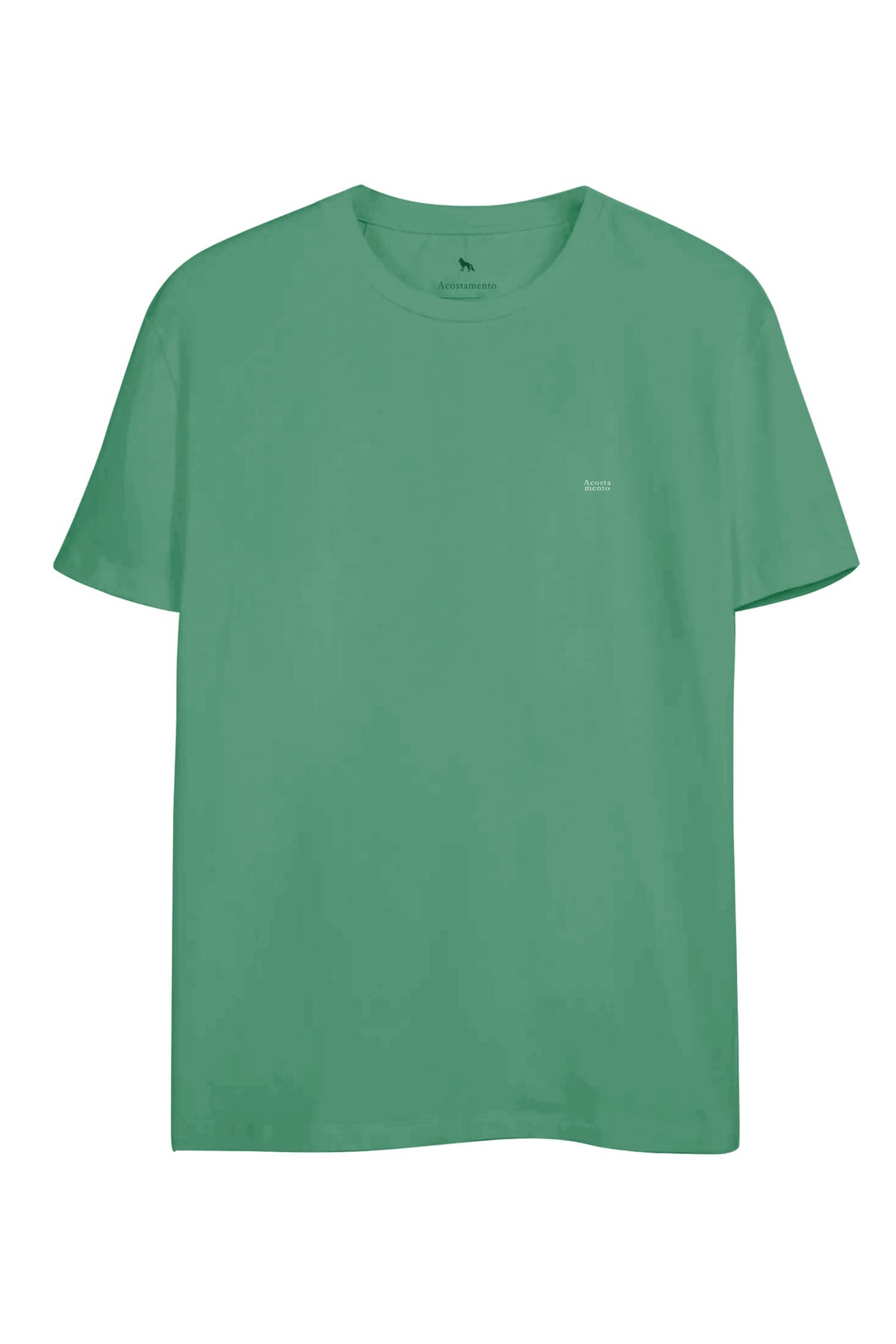 Camiseta Casual Letters Local Masculina Oversize Acostamento Verde Tropical