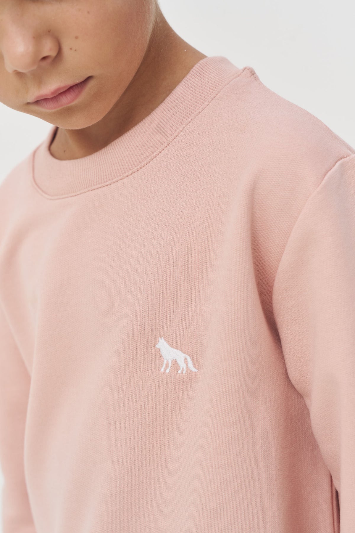 Blusão Minimalista Menino Acostamento Next Rosa Cha