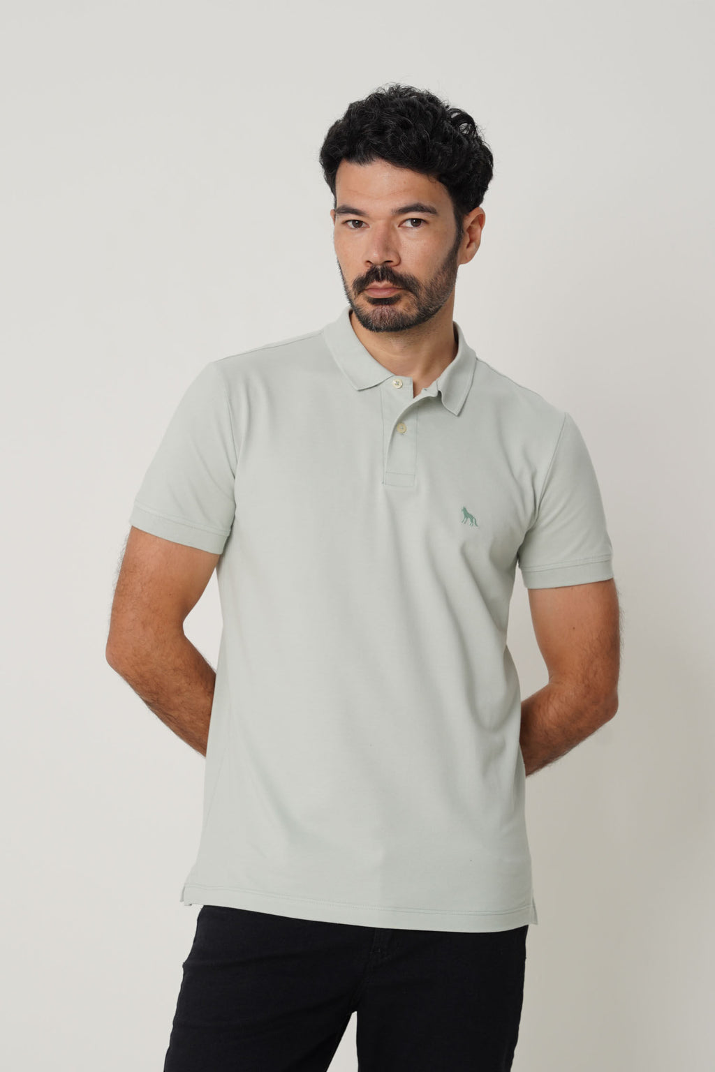 Polo Casual Basic Masculina Acostamento Verde Cidreira