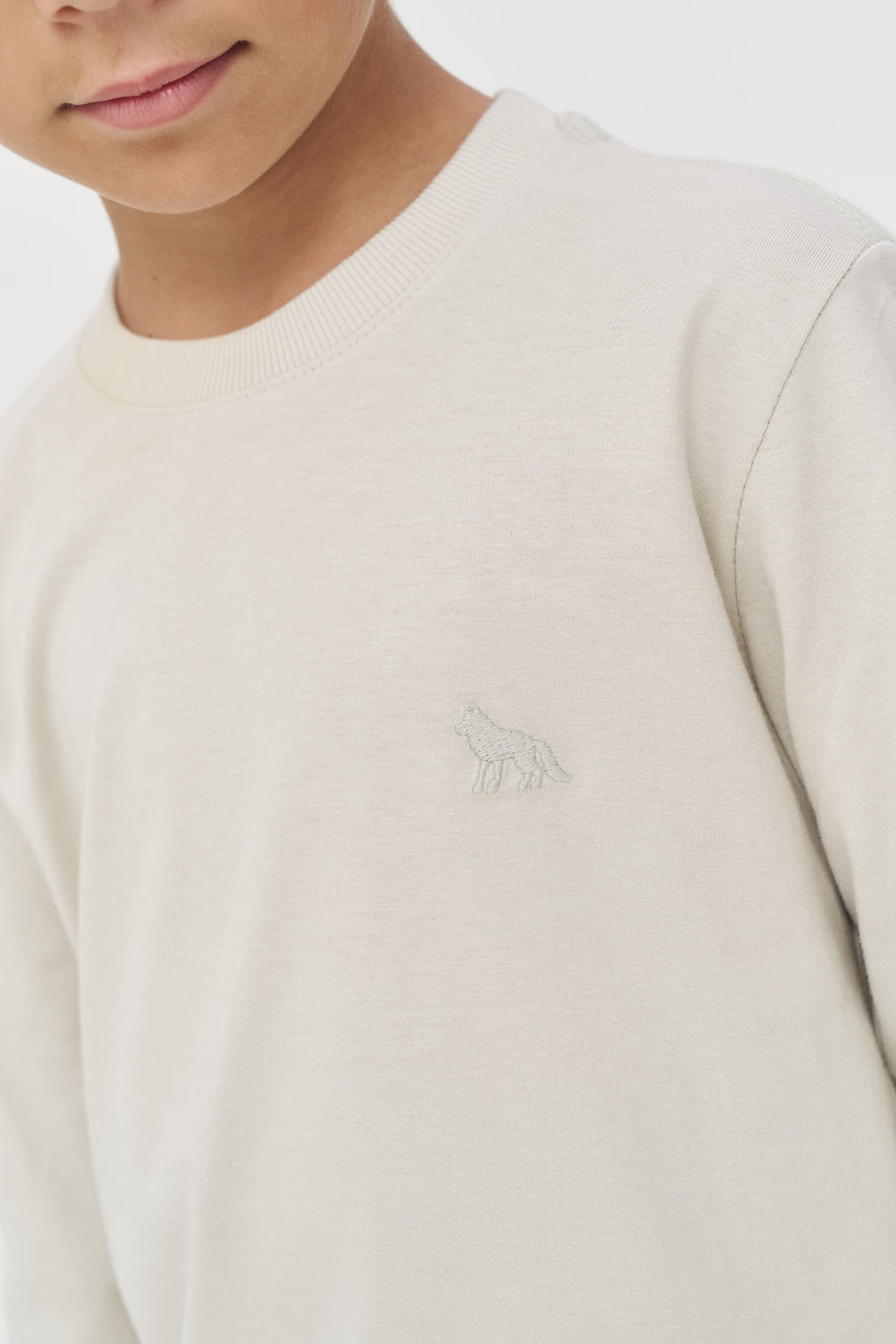 Camiseta Manga Longa Menino Acostamento Next Cinza Gelo