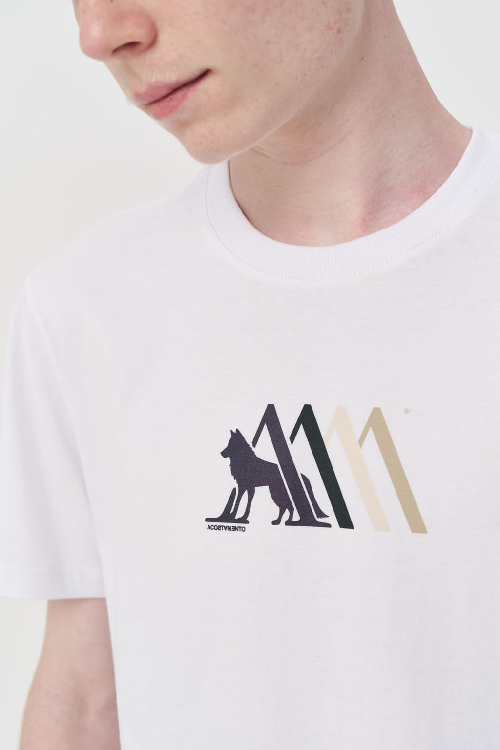 Camiseta Casual Silk Menino Acostamento Next Branco
