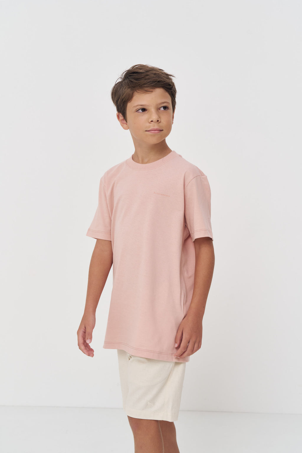 Camiseta Estilo Casual Menino Acostamento Next Rosa Cha