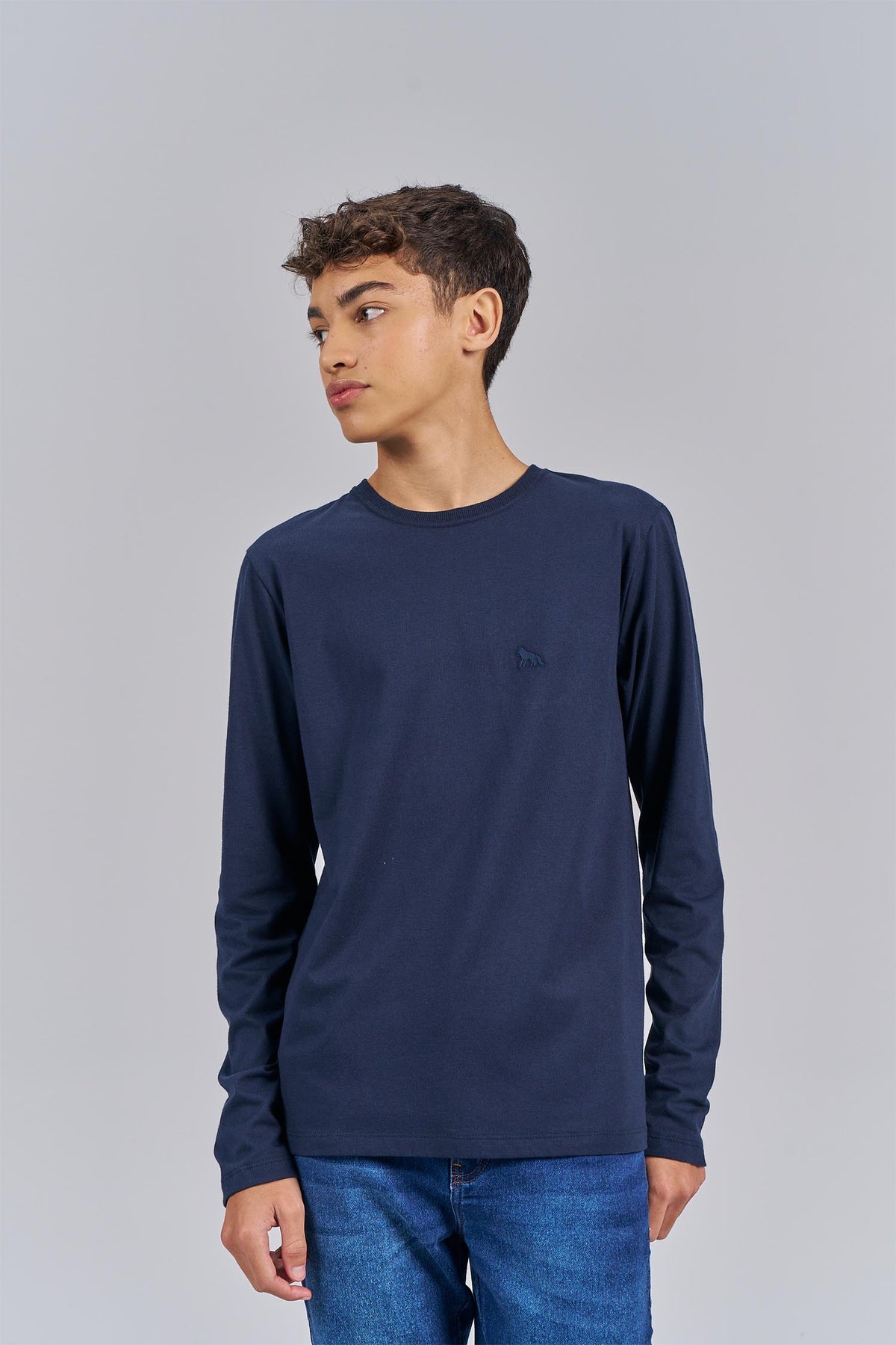 Camiseta Manga Longa Menino Acostamento Next Marinho