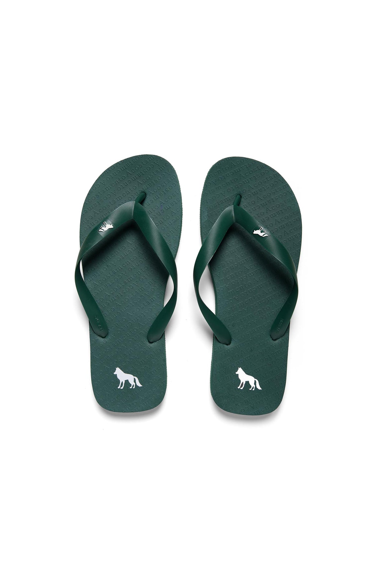 Chinelo Essential Basic Masculino Acostamento Verde