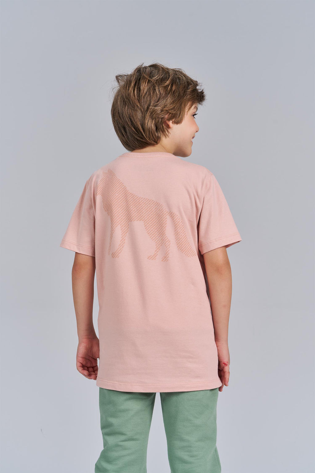 Camiseta Lobo Line Menino Acostamento Next Rosa Cha
