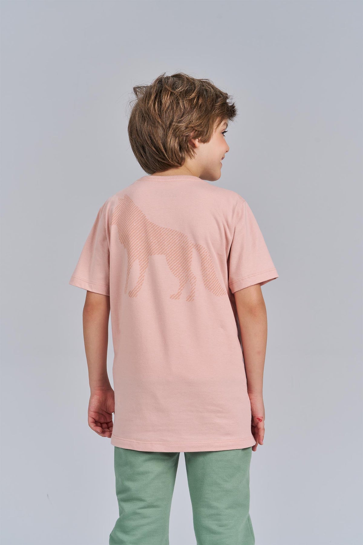 Camiseta Lobo Line Menino Acostamento Next Rosa Cha