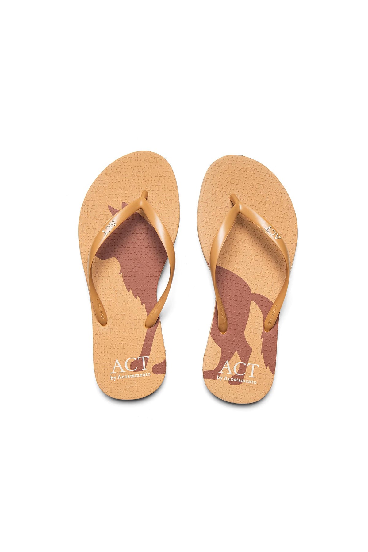 Chinelo Minimal Lobo ACT Feminino Sand