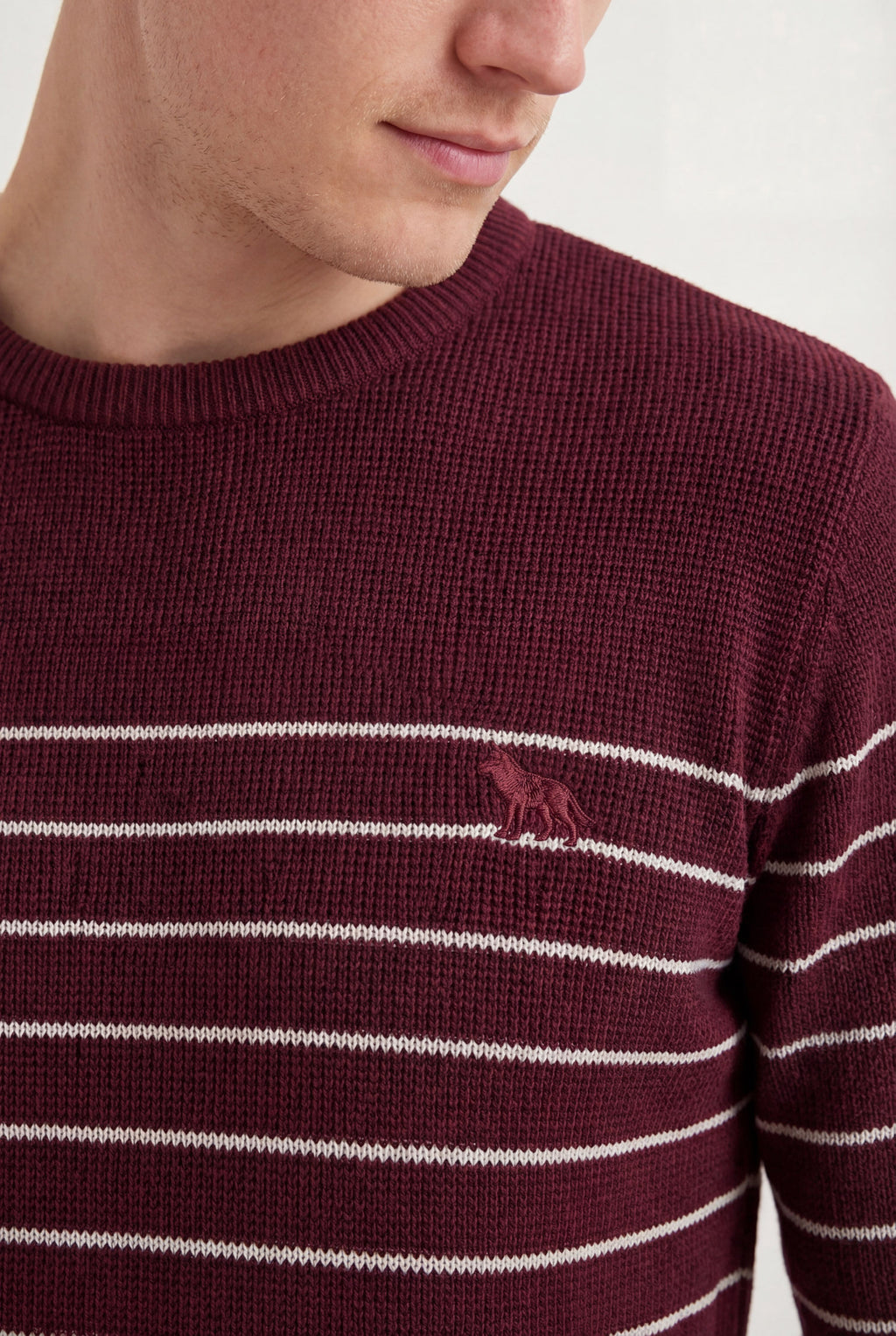 Suéter Tricot Listrado Masculino Acostamento Bordo