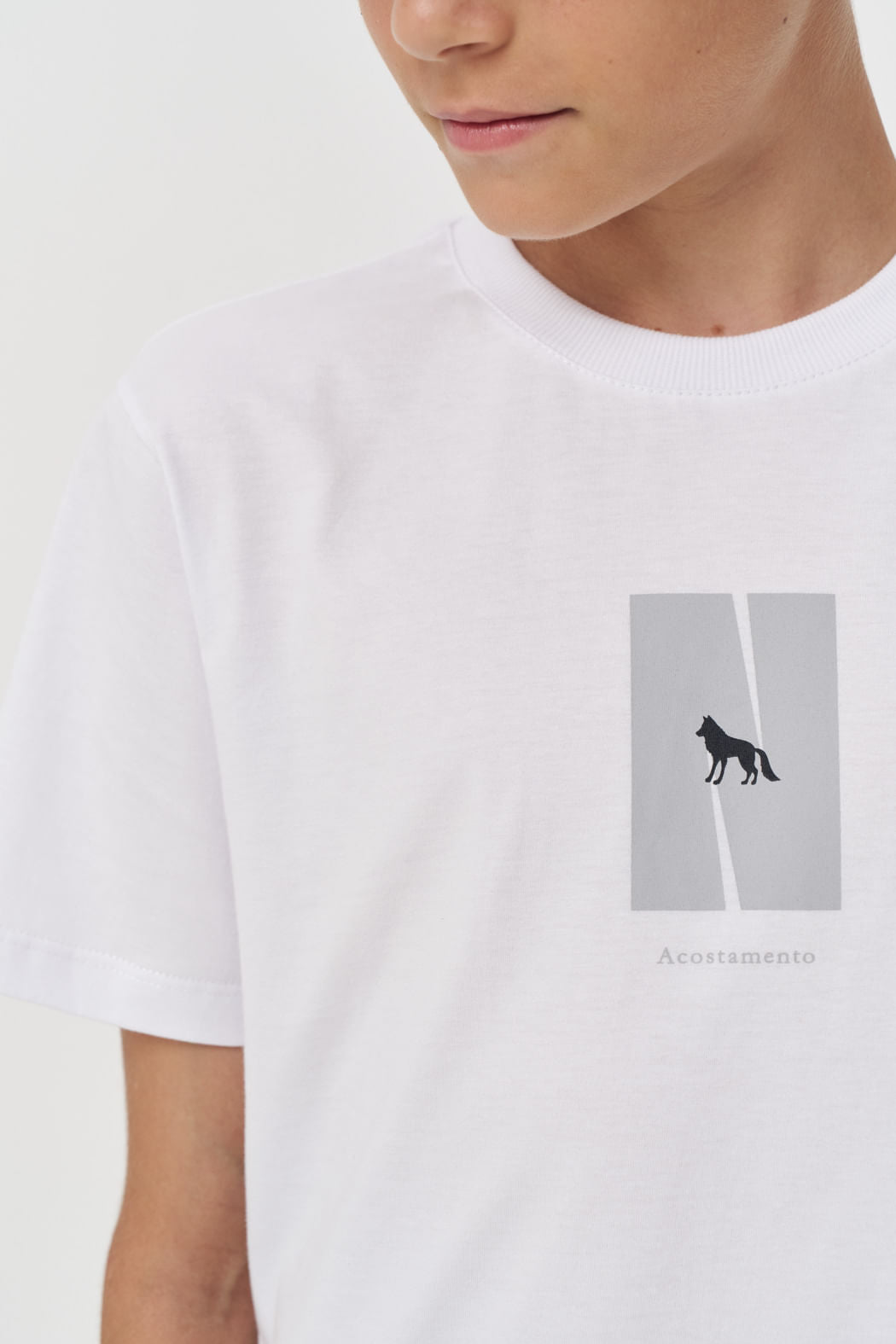 Camiseta Casual Menino Acostamento Next Branco