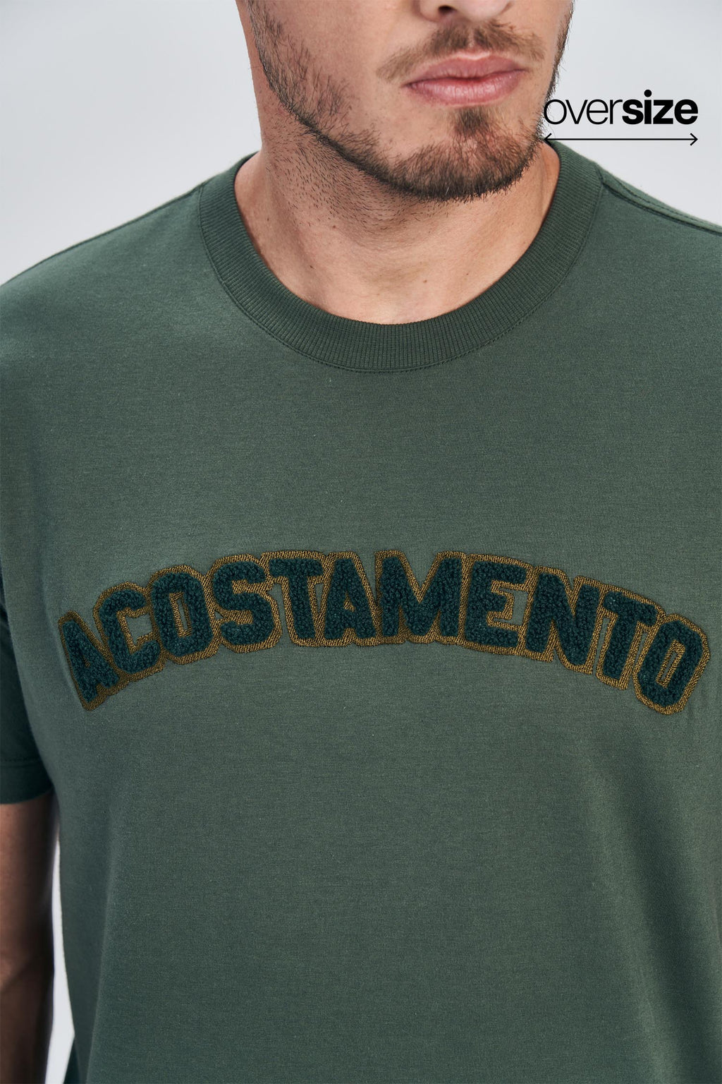 Camiseta Lettering Teddy Masculina Oversize Acostamento Verde Nativo