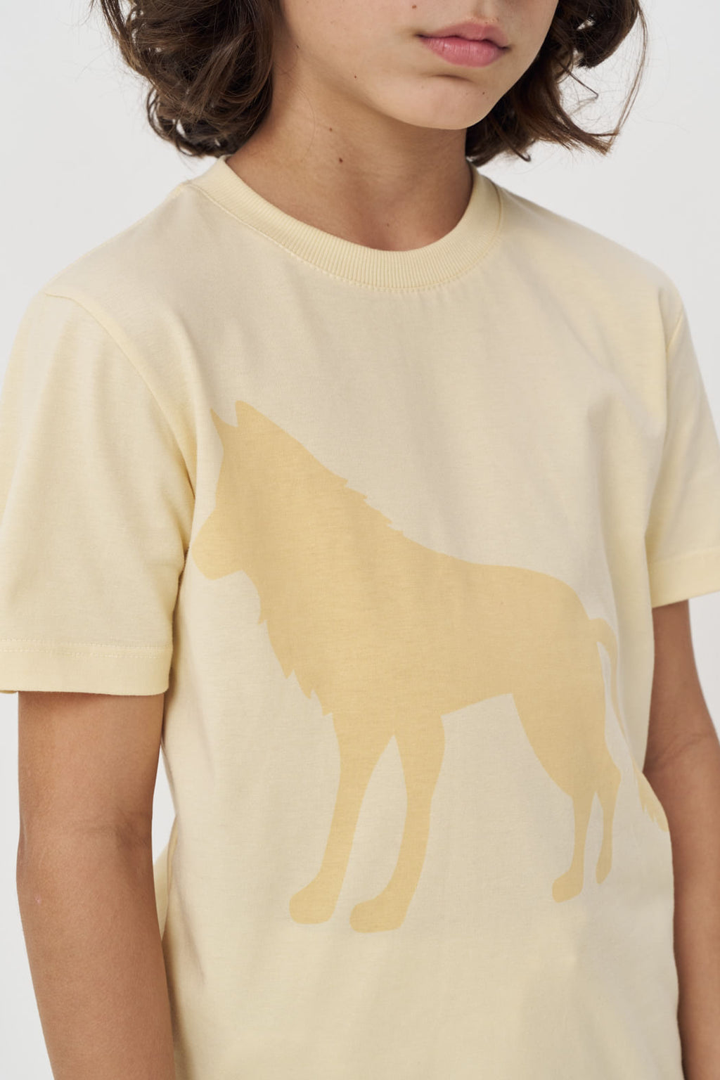 Camiseta Estampa Lobo Menino Acostamento Next Amarelo Sunlight