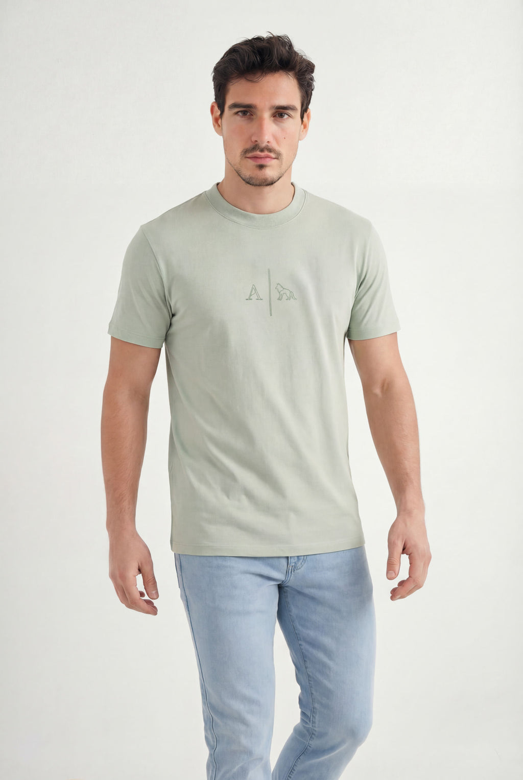 Camiseta Casual Logo Masculina Acostamento Verde Cidreira