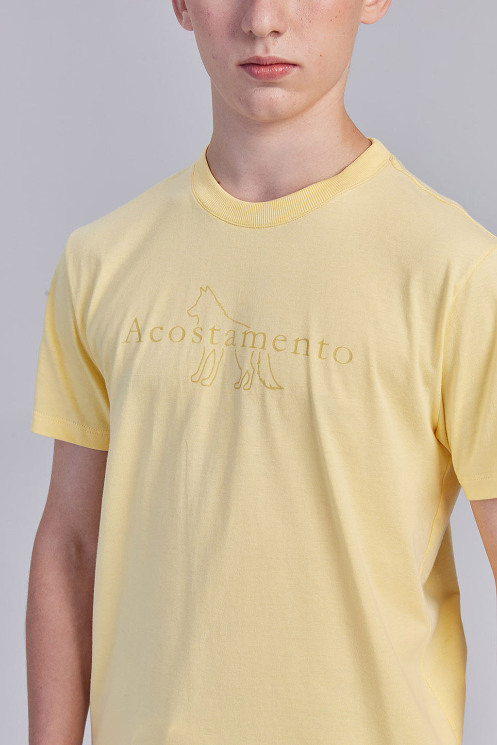 Camiseta Básica Lobo Menino Acostamento Next Branco