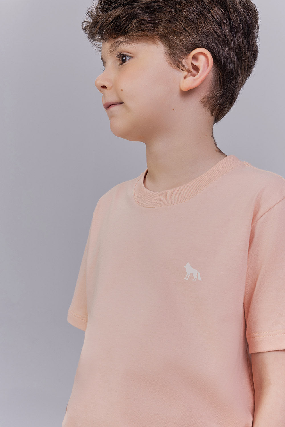 Camiseta Casual Menino Acostamento Kids Rosa
