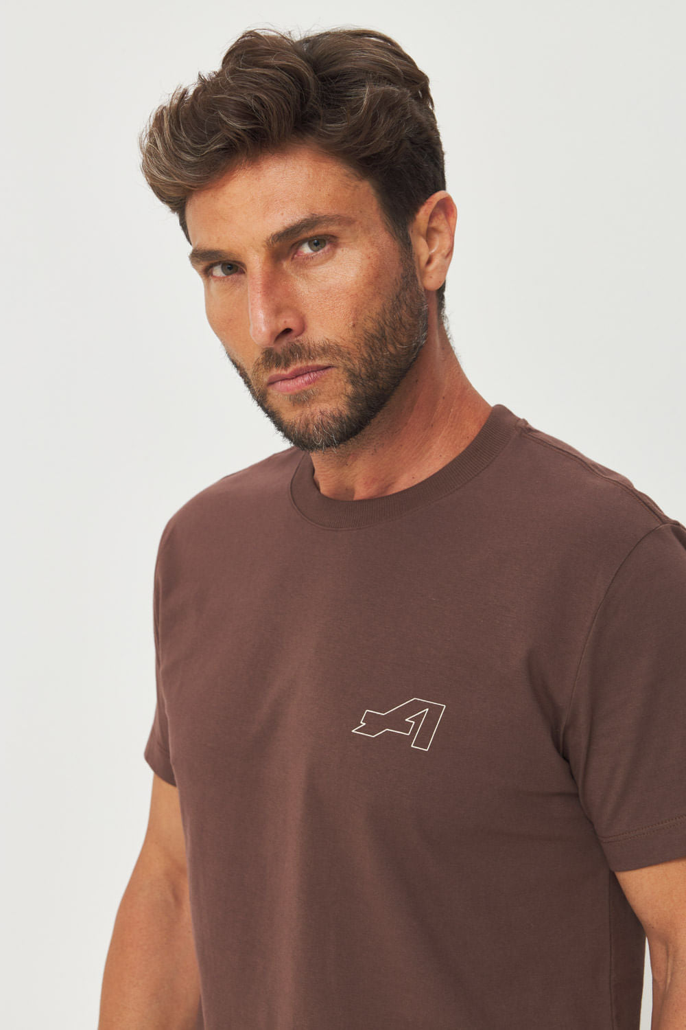 Camiseta Estampa Costas Masculina Acostamento Marrom Ipe