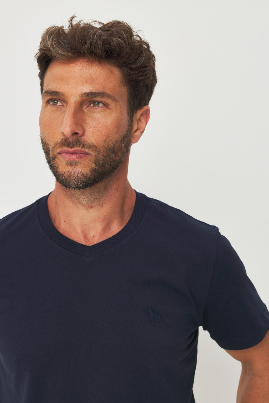 Camiseta Casual Gola V Masculina Acostamento Marinho