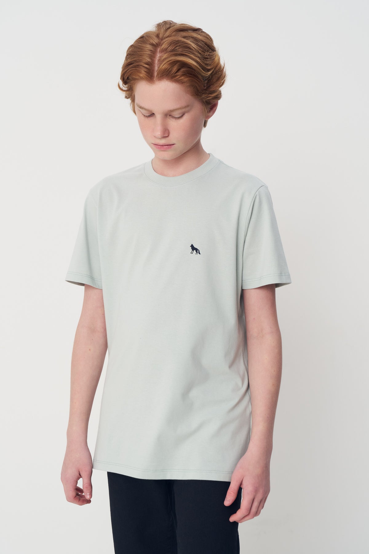 Camiseta Lobo Menino Acostamento Next Cinza Gelo