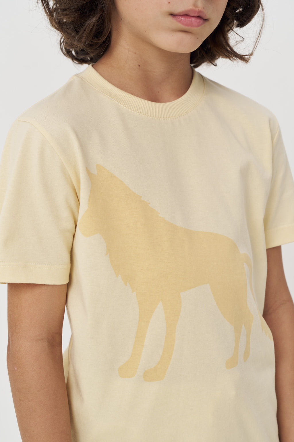 Camiseta Estampa Lobo Menino Acostamento Next Azul Neblina