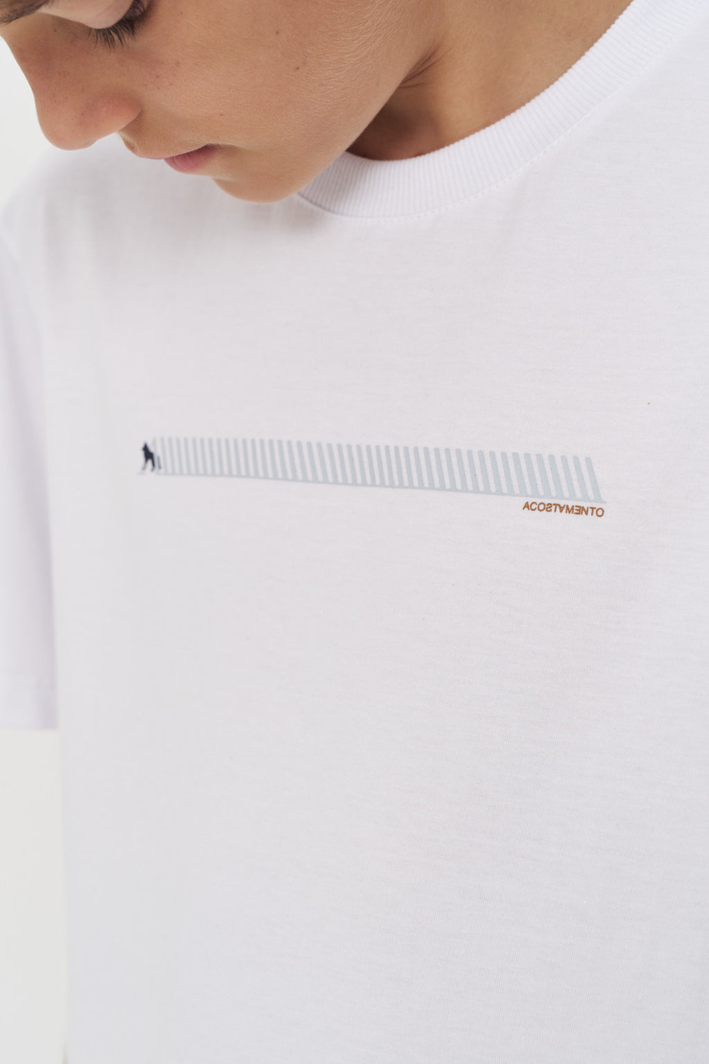 Camiseta Manga Curta Menino Acostamento Next Capuccino