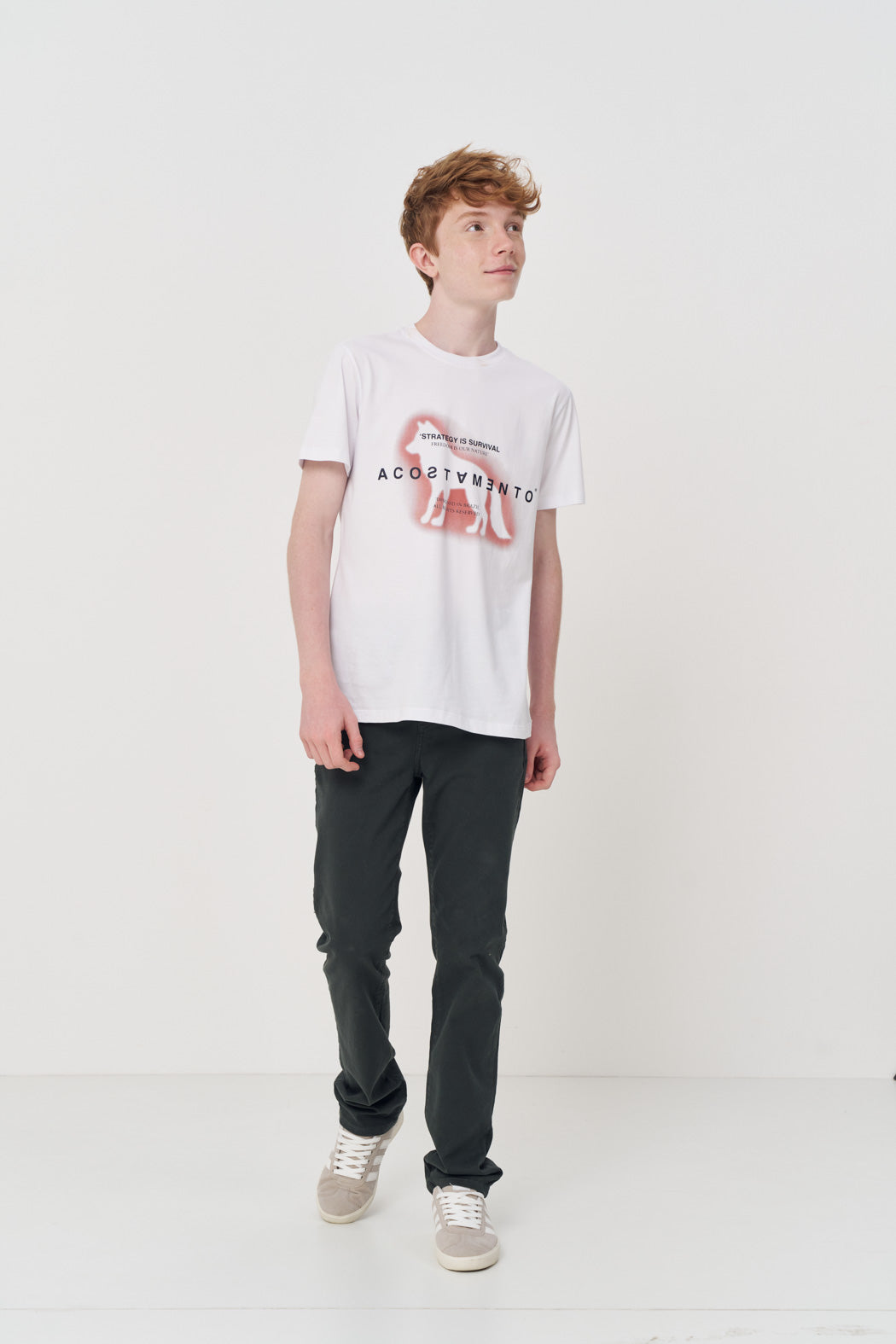 Camiseta Estampada Menino Acostamento Next Goanna