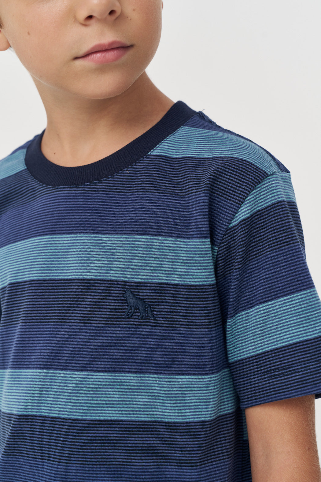 Camiseta Listrada Menino Acostamento Next Listrado Azul