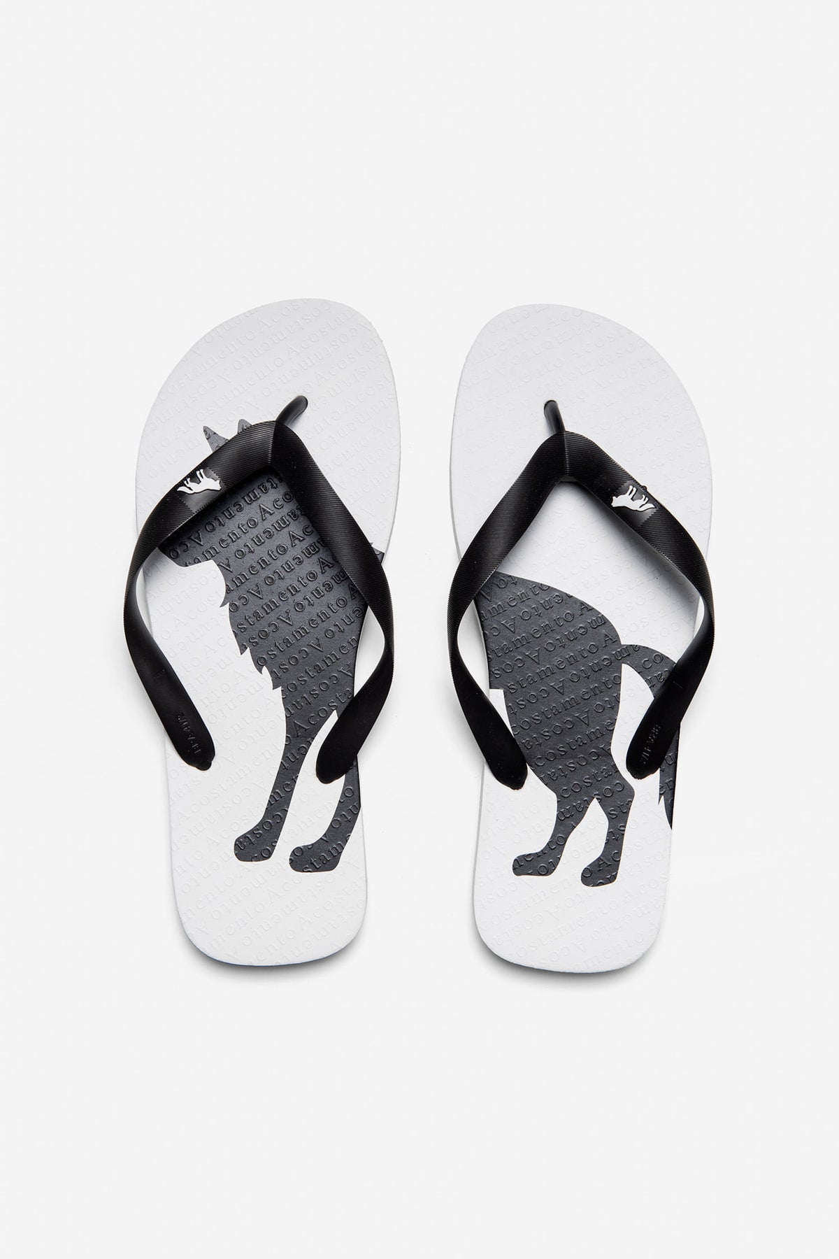 Chinelo O Lobo Masculino Acostamento Preto