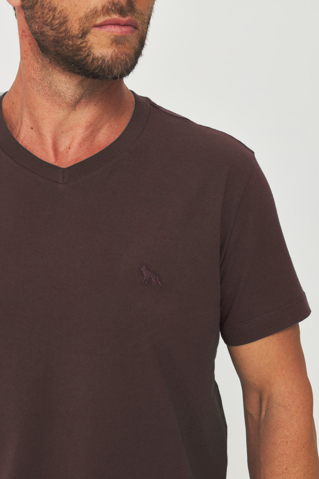 Camiseta Casual Gola V Masculina Acostamento Marrom Ipe